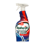 Ludwik Aktywna Piana Kamień i Rdza 750ml spray