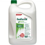 Ludwik Płyn do mycia naczyń 5L– „Miętowy”