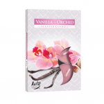 Bispol Podgrzewacze Zapachowe a'6 - "Wanilia-Orchidea"
